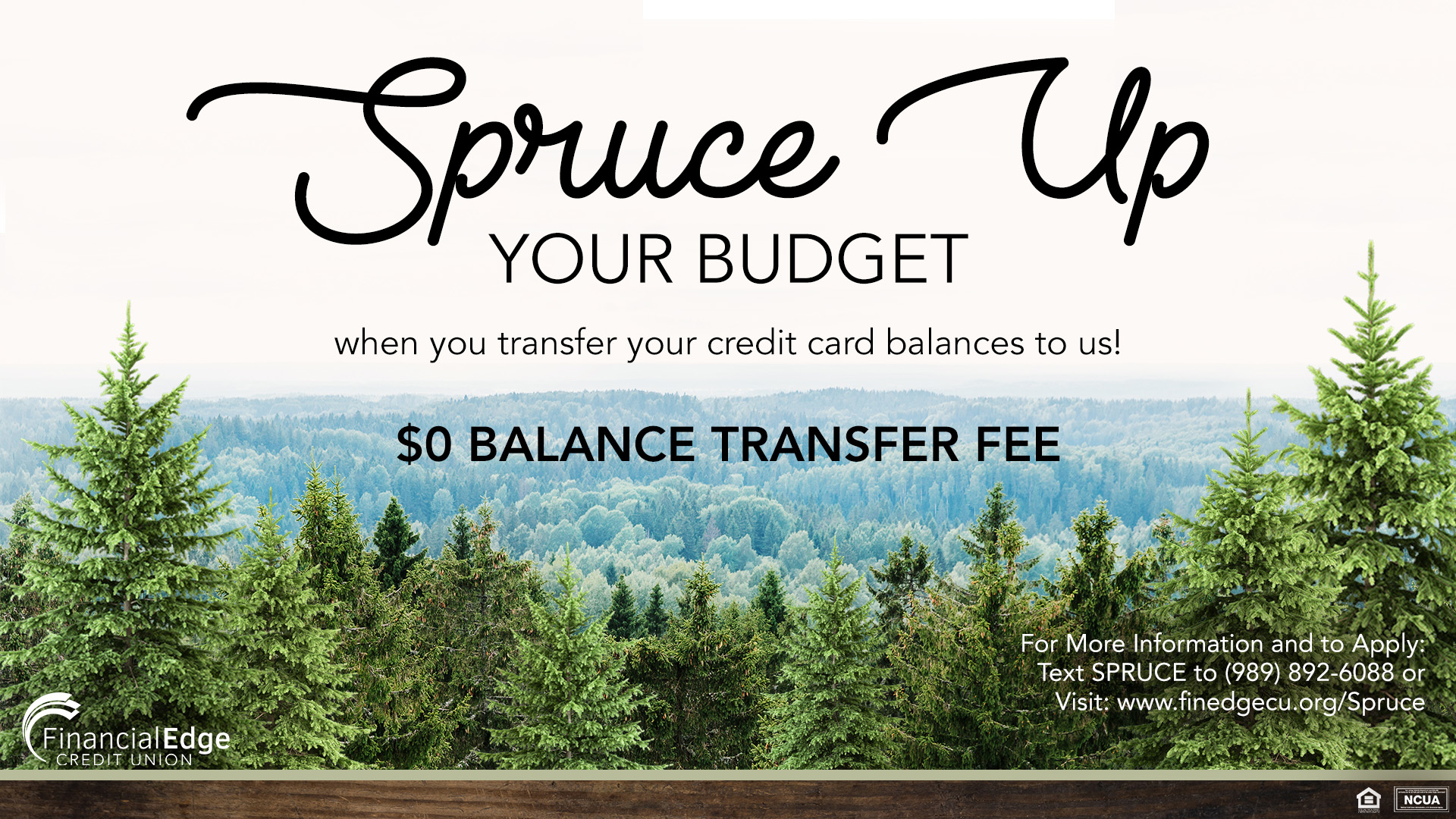 Balance Transfer Special